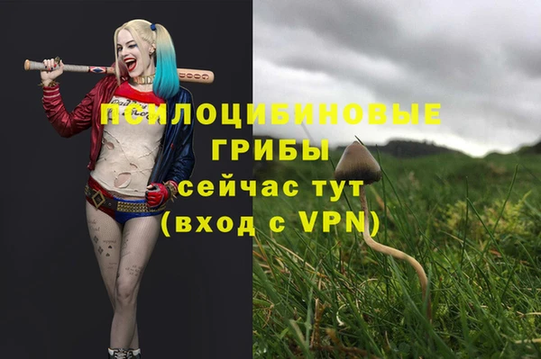 мескалин Алексин