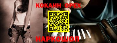 крисы Камышлов