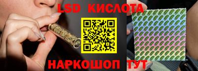 крисы Камышлов