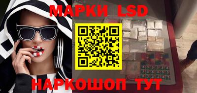 крисы Камышлов