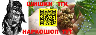 крисы Камышлов