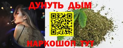 apvp Канаш