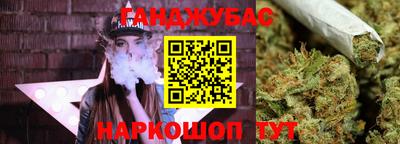 крисы Камышлов