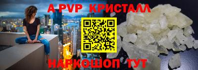 крисы Камышлов
