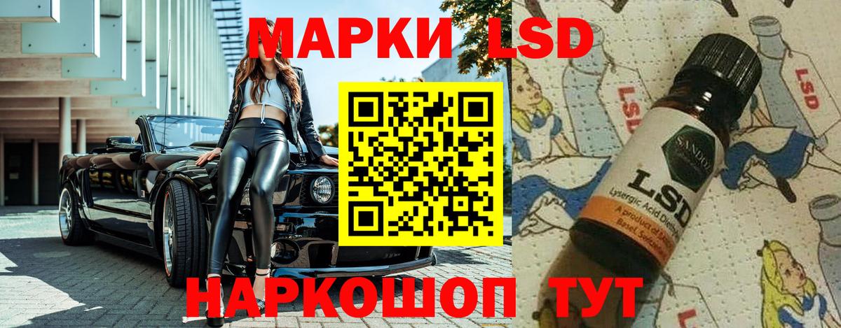 МЕФ Краснознаменск