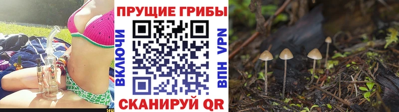 Галлюциногенные грибы мухоморы наркошоп Краснознаменск