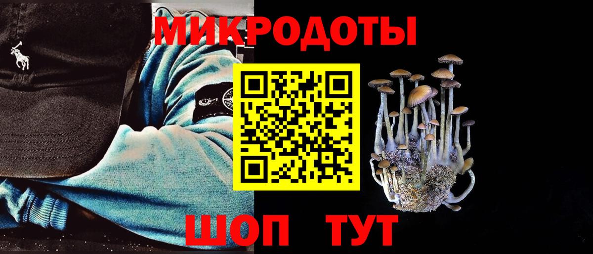 Псилоцибиновые грибы прущие грибы Краснознаменск