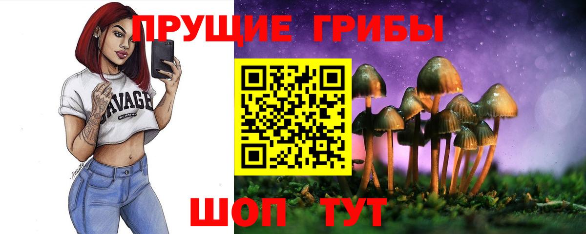 Краснознаменск  Псилоцибиновые грибы Psilocybine cubensis  Галлюциногенные грибы Cubensis  Вход с VPN 