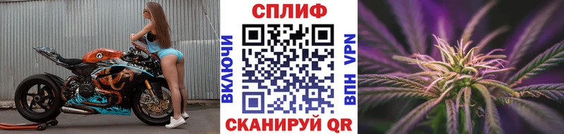 купить  цена  Краснознаменск  Шишки марихуана сатива 